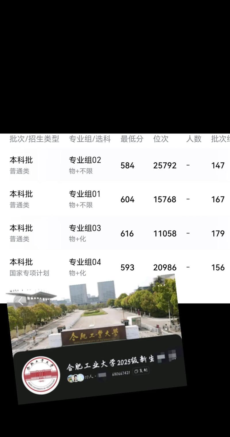 合肥工大录取分数线是多少?-图1 合肥工大录取分数线是多少?-图1