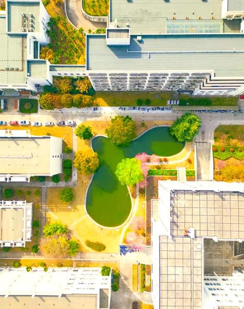 南师大MPAcc具体在哪个校区就读?-图2 南师大MPAcc具体在哪个校区就读?-图2