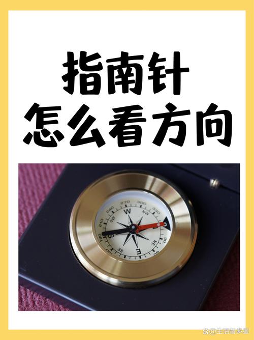 MPA哪个方向就业前景更优?-图2 MPA哪个方向就业前景更优?-图2