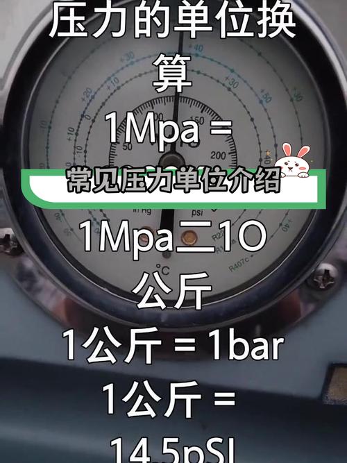 MPA哪个方向就业前景更优?-图3 MPA哪个方向就业前景更优?-图3