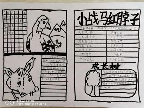 小战马思维导图该怎么画？-图3