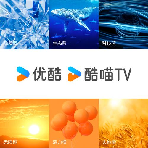 逻辑思维优酷,如何高效提升?-图2 逻辑思维优酷,如何高效提升?-图2