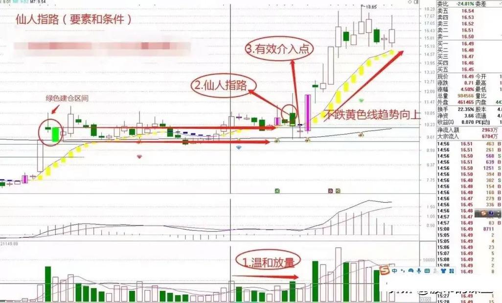 腾飞K线与思维，如何用K线语言解码市场情绪，实现认知跃迁？-图3