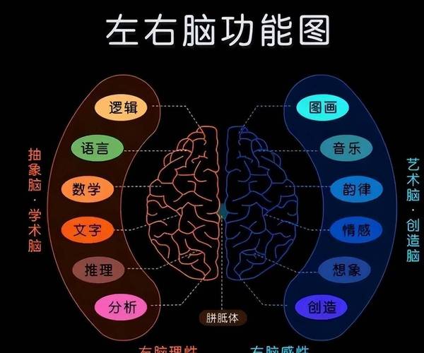 如何通过右脑思维图提升创造力与逻辑思维的协同能力？-图1