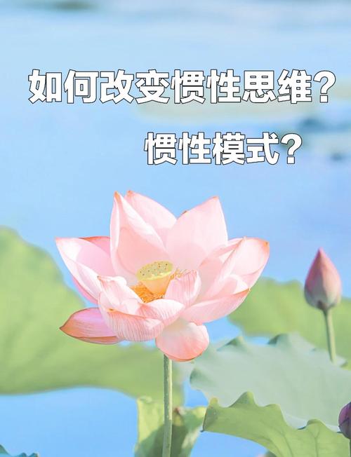 惯性思维如何困住我们的思考？-图3