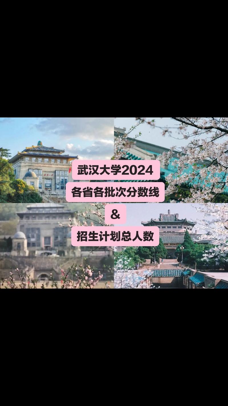 2025武大录取线会是多少？-图2