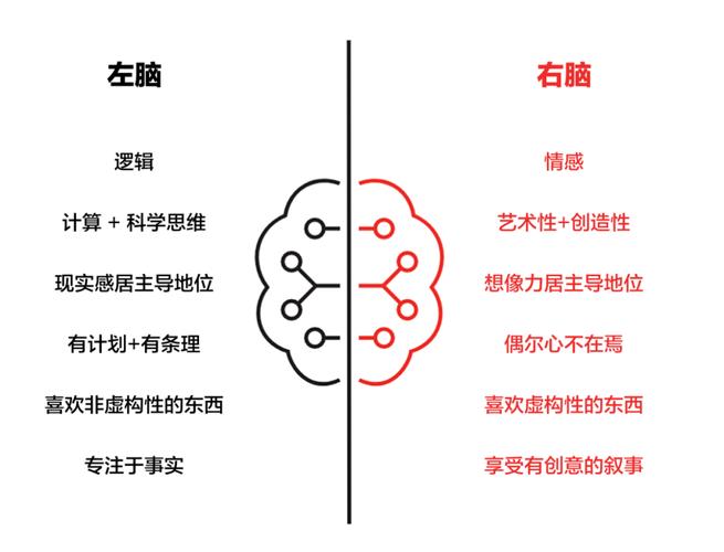 右脑左脑思维，如何协同互补？-图1