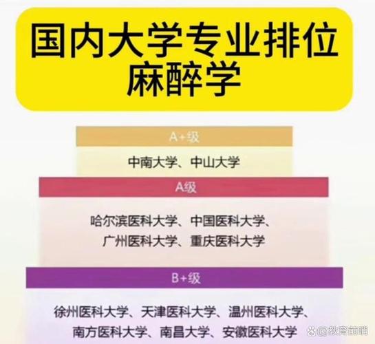 麻醉学考研，哪些学校分数线高？-图3