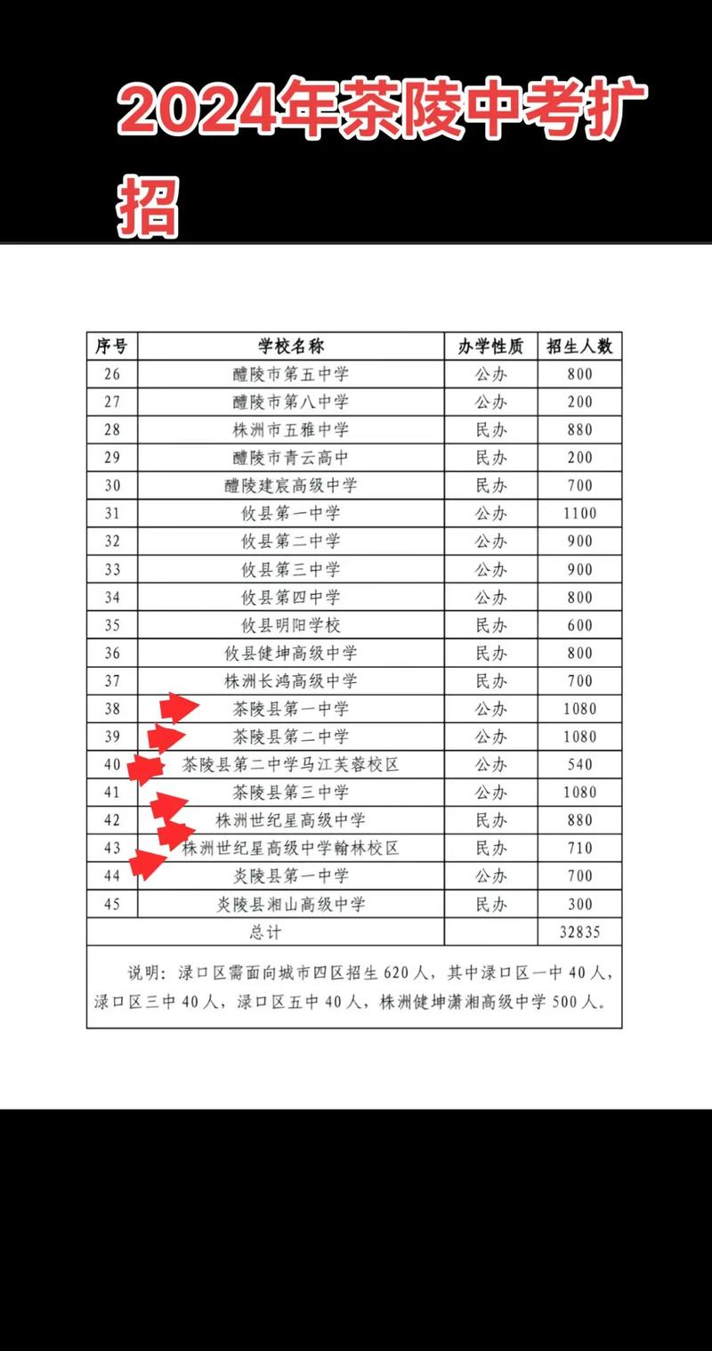 茶陵世纪星中考录取多少？-图1