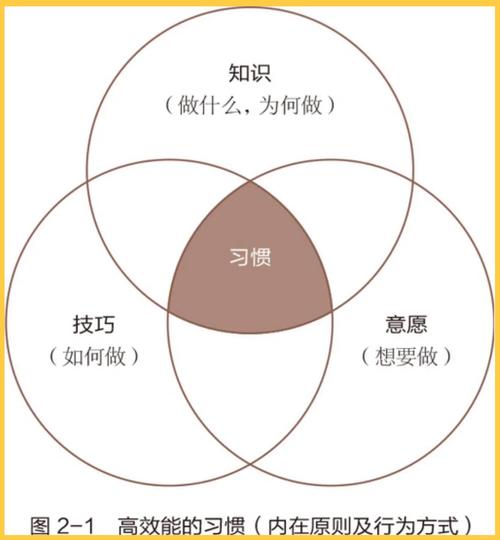 如何有效培养孩子的思维敏捷性？-图2