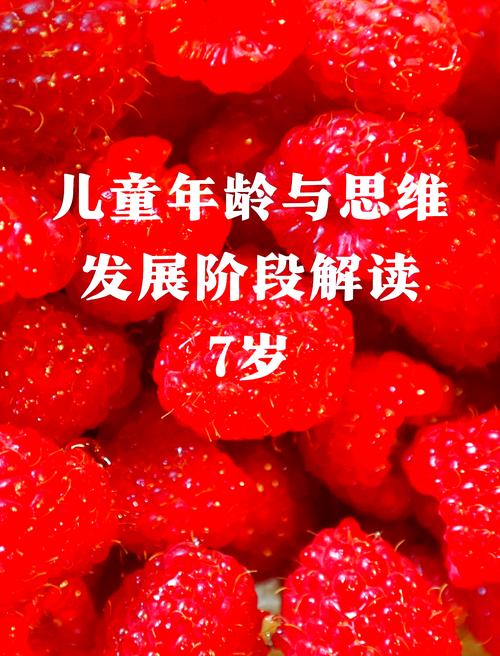 抽象思维怎么培养-图1