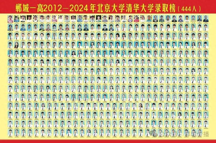 郸城985录取人数究竟多少?-图2 郸城985录取人数究竟多少?-图2
