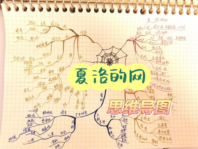 思维导图夏洛的网-图2 思维导图夏洛的网-图2