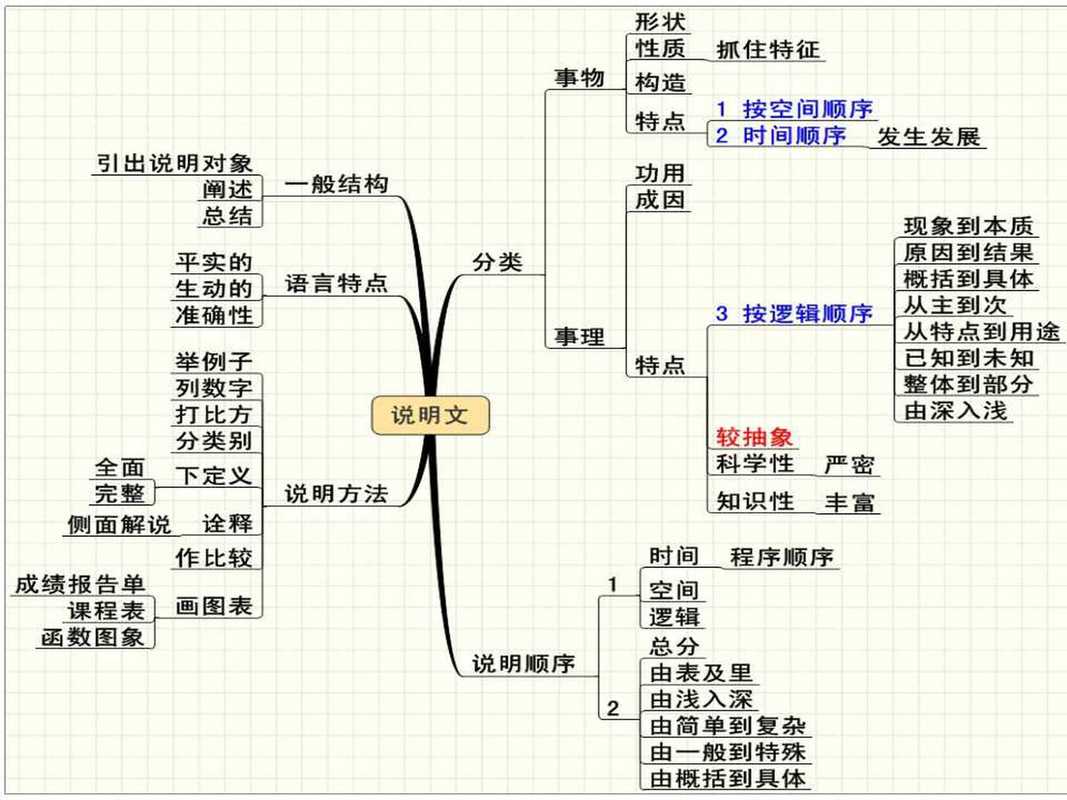 说明文思维导图图片怎么画？-图1