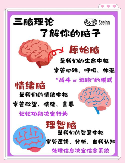 大脑密码思维是什么？-图2