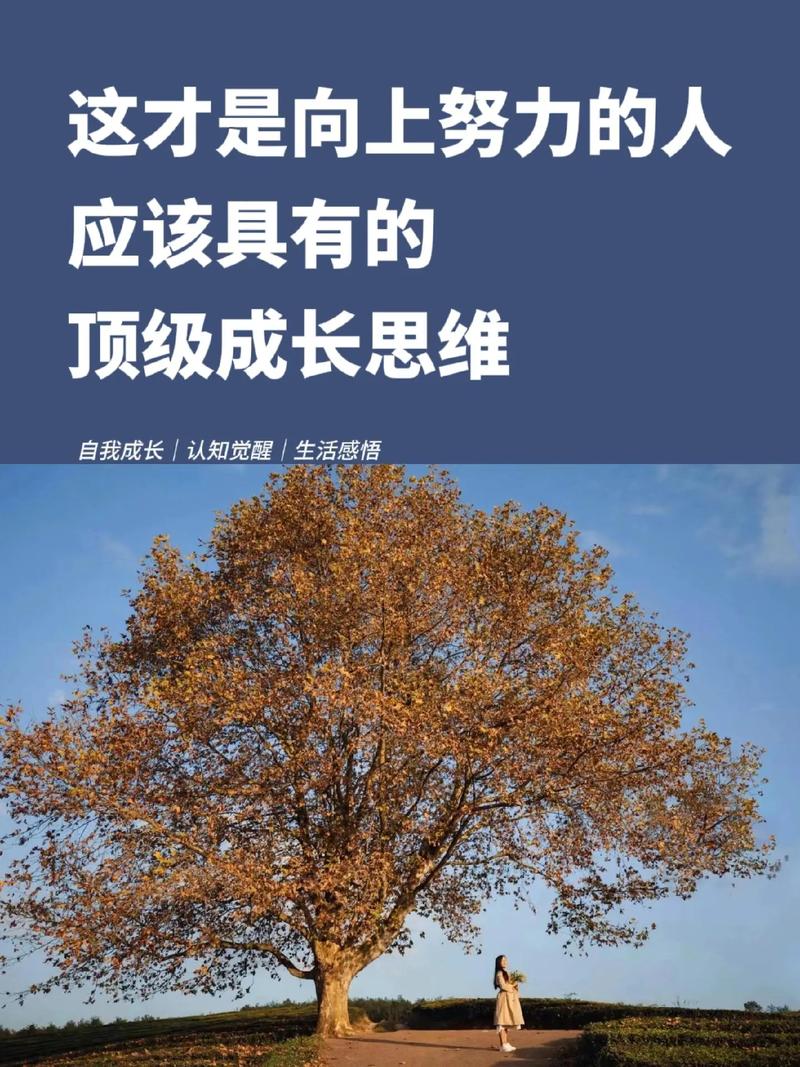 单纯思维，是简单还是力量？-图1