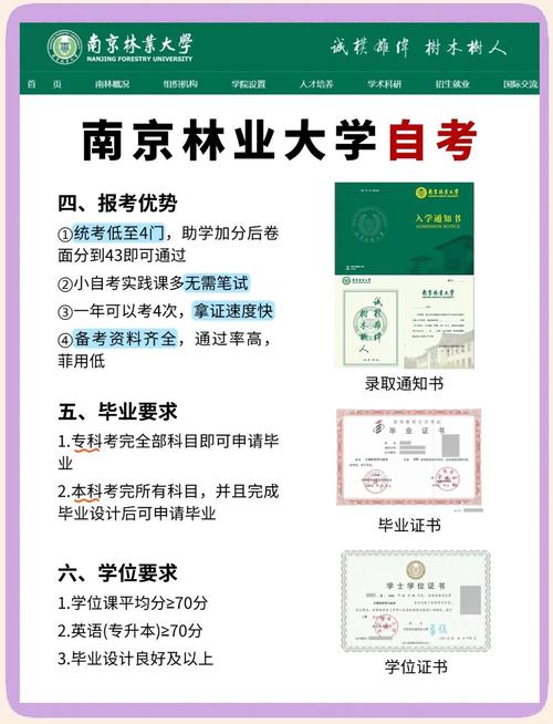 南京小自考选哪所大学更靠谱？-图1