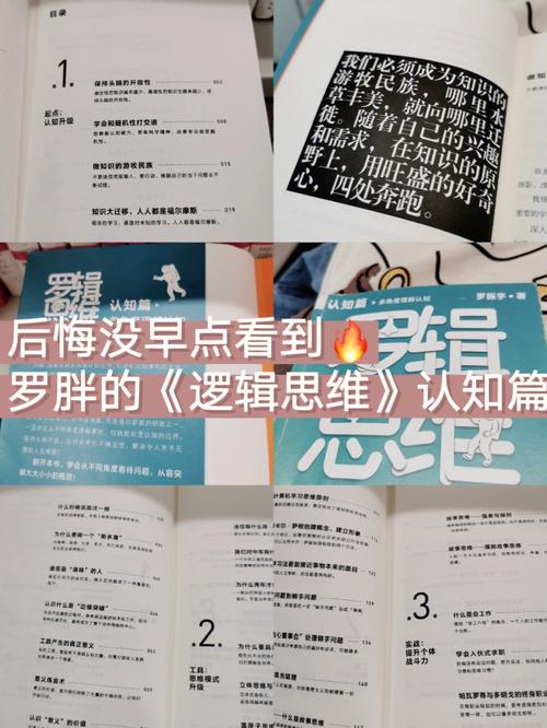 罗辑思维强的人-图1