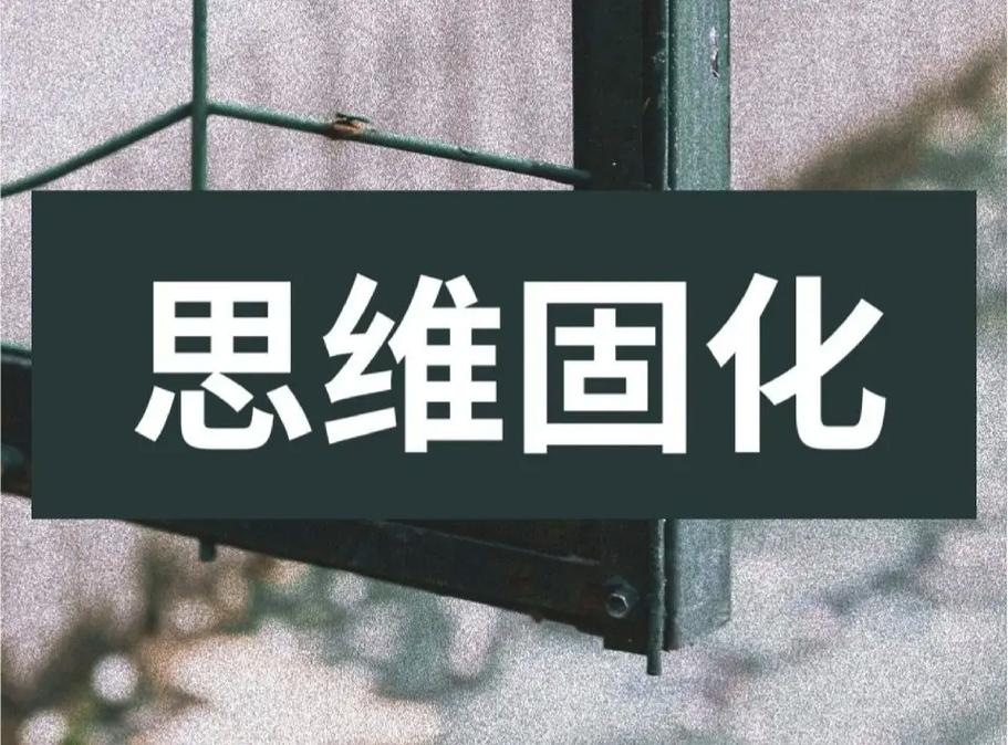 固化思维-图1
