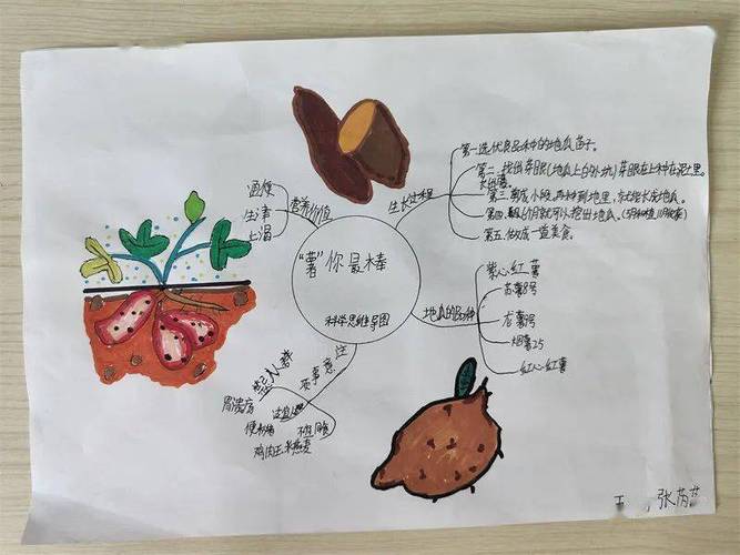 农业嘉年华思维导图如何构建应用价值？-图1