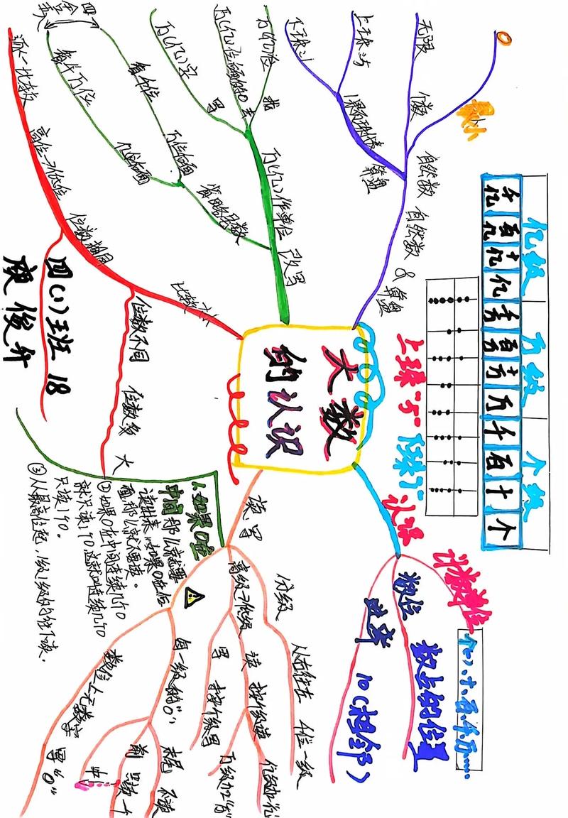 思维导图的图-图1