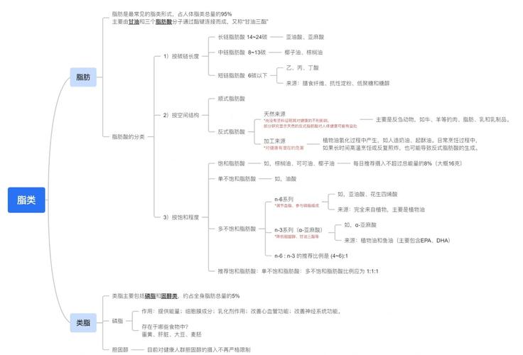 脂质思维导图-图1