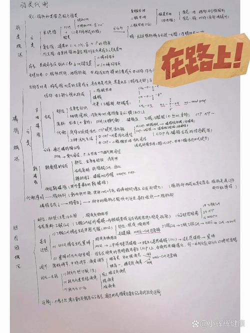 脂质思维导图-图2