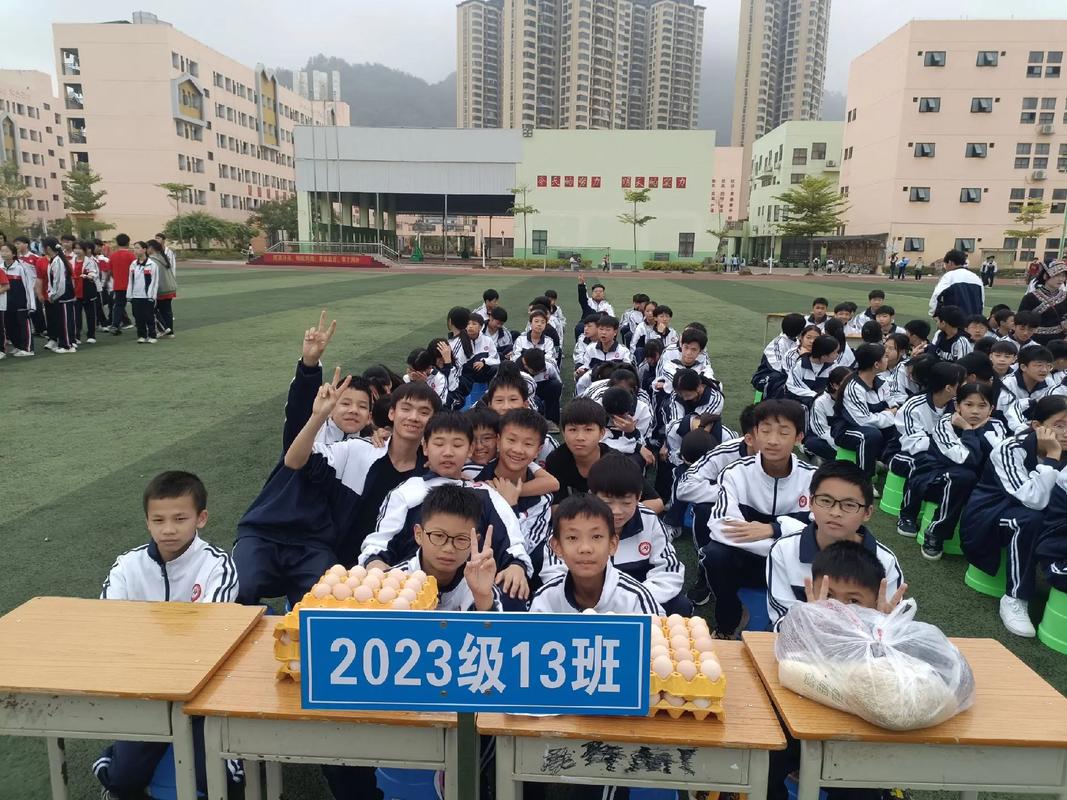 巴马高中录取分数线是多少？-图1