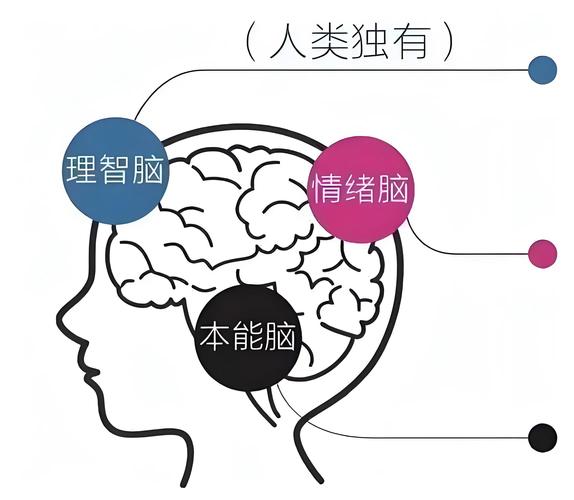 元模式 思维-图3 元模式 思维-图3
