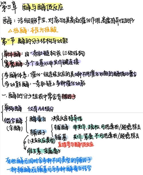 酶的思维导图，核心要点有哪些？-图1