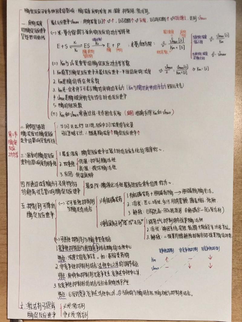 酶的思维导图，核心要点有哪些？-图2