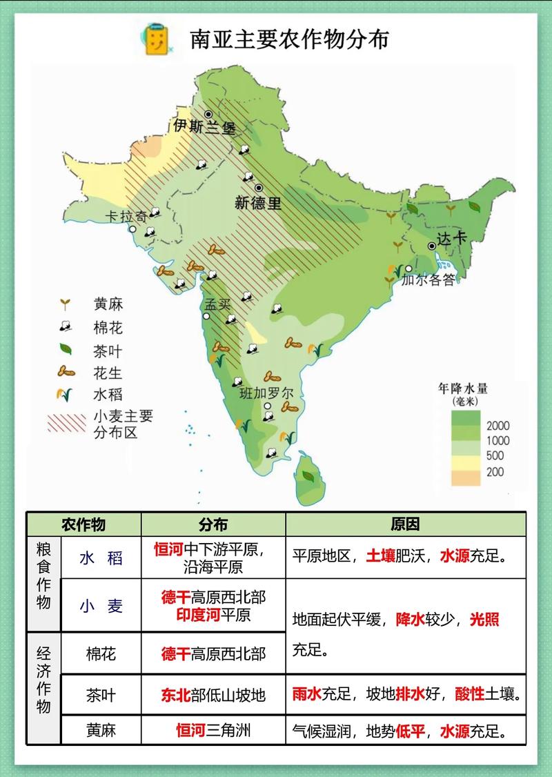 南亚思维导图包含哪些核心内容？-图2