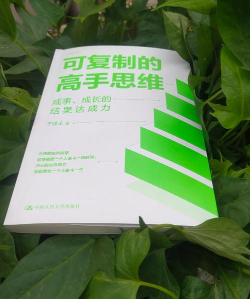 哈佛思维pdf-图2