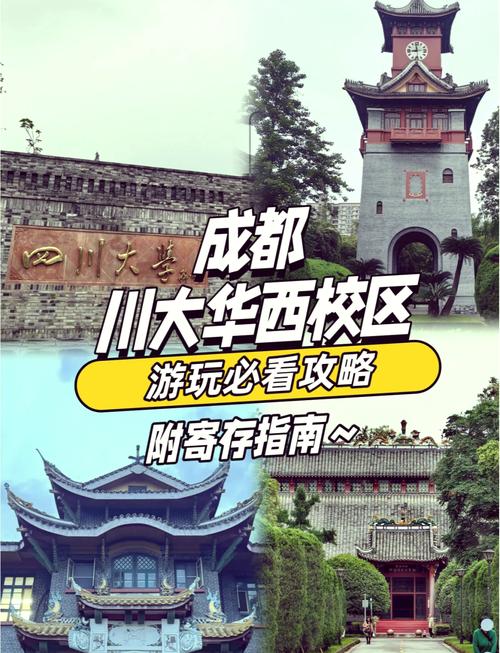 川大研招办在哪个校区-图3