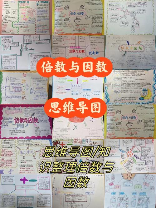 倍数与因数的思维导图-图2