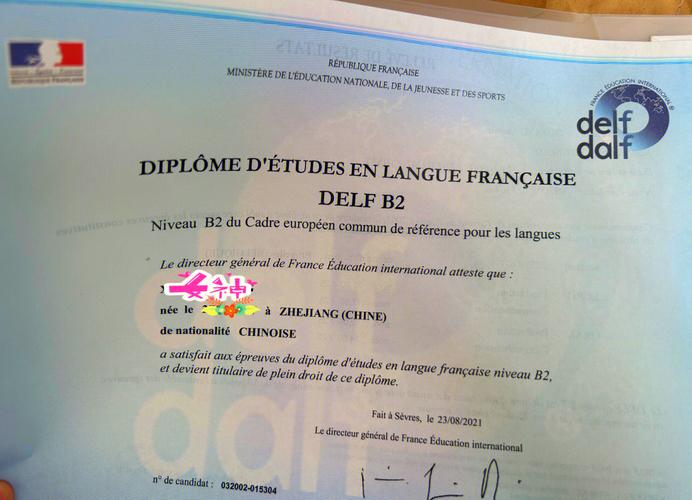 法语证书怎么选？研究生考哪个合适？-图1