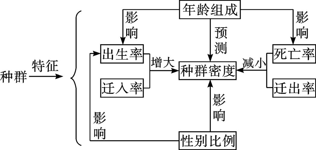 种群与群落思维导图，核心要点有哪些？-图3