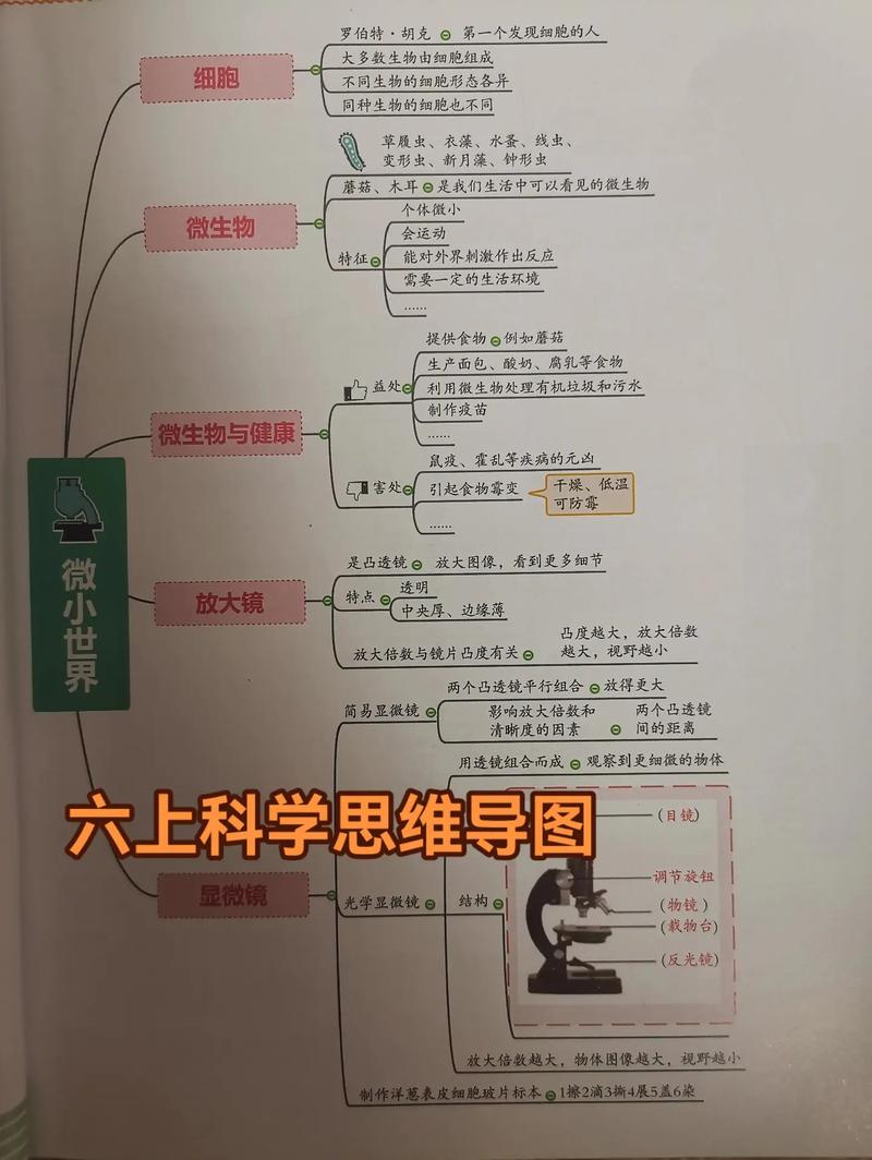 六上科学思维导图怎么画?-图1 六上科学思维导图怎么画?-图1