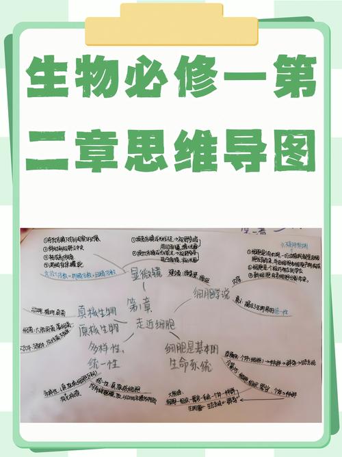 思维导图 生物-图1 思维导图 生物-图1