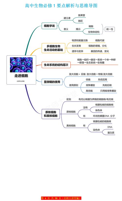 思维导图 生物-图3 思维导图 生物-图3