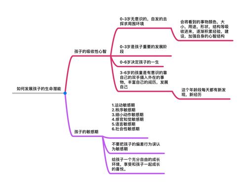 蒙台梭利感官思维导图-图3 蒙台梭利感官思维导图-图3