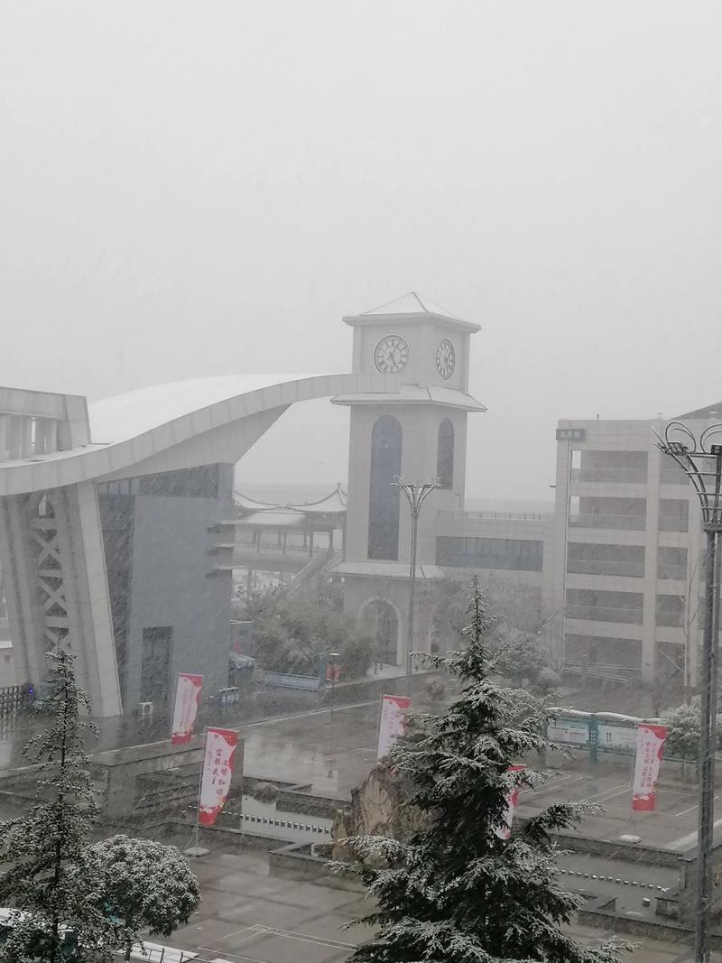 瑞泉中学录取分数线是多少?-图1 瑞泉中学录取分数线是多少?-图1