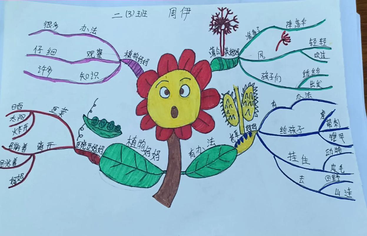 思维导图图片二年级-图1