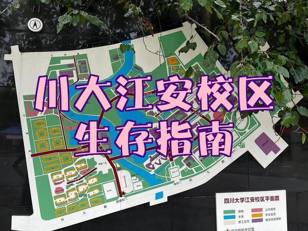 川大数学属于哪个学术流派？-图1