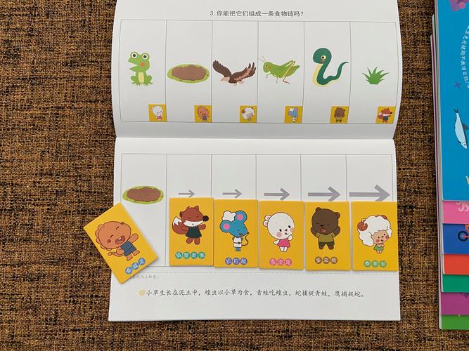 小学思维游戏大全,怎么选才适合孩子?-图2 小学思维游戏大全,怎么选才适合孩子?-图2