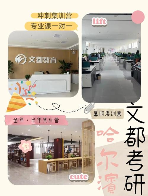 哈尔滨文都和领先哪个更优?-图1 哈尔滨文都和领先哪个更优?-图1