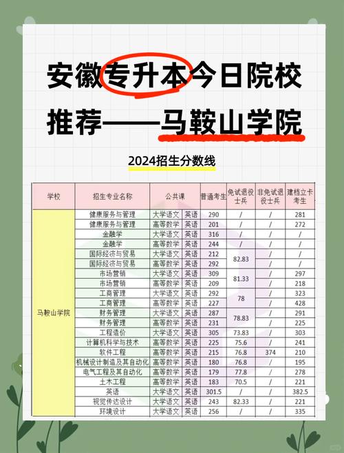 马鞍山中加学校录取分数线是多少？-图3
