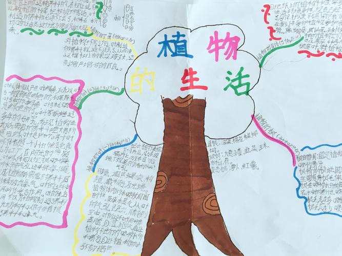 科学思维有哪些典型例子？-图3