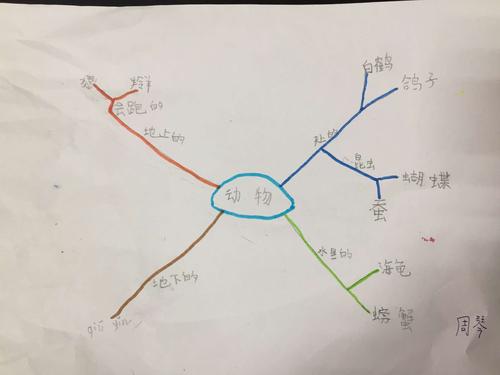 m思维导图怎么写？入门技巧有哪些？-图3