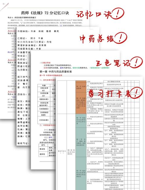 2025年西药报名条件有哪些具体要求？-图1